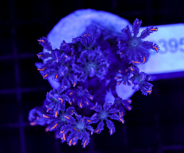 import placeholder for 3064422