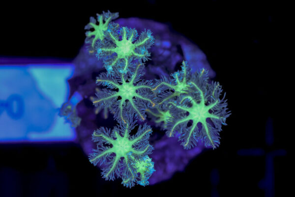 import placeholder for 3064419