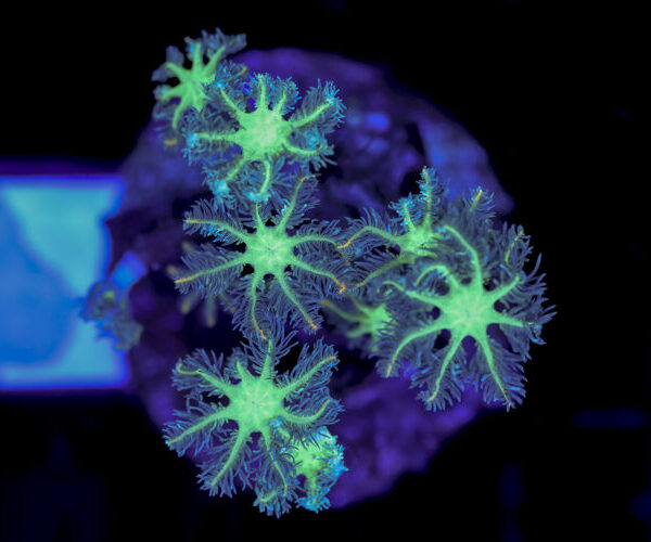 import placeholder for 3064419