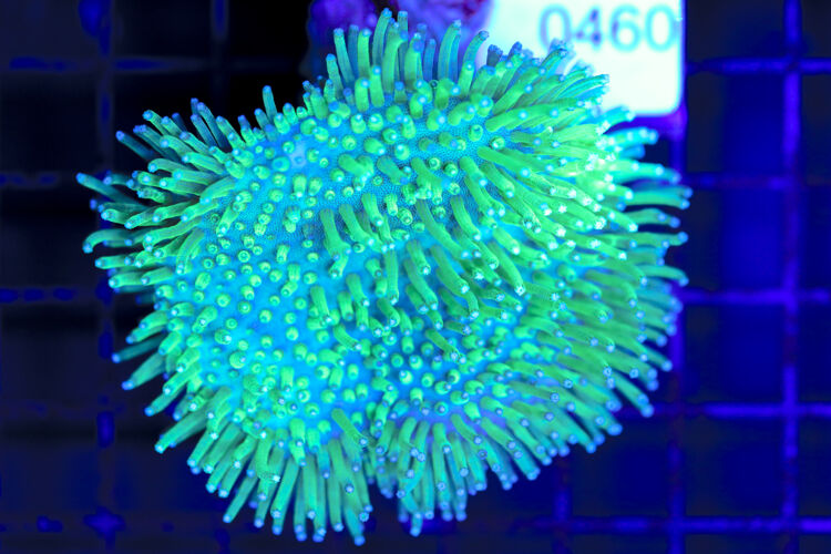 import placeholder for 3064417