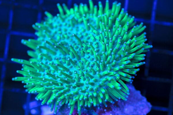 import placeholder for 3064416