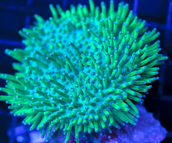 import placeholder for 3064416