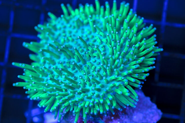 import placeholder for 3064416