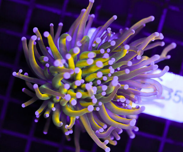 import placeholder for 3064392