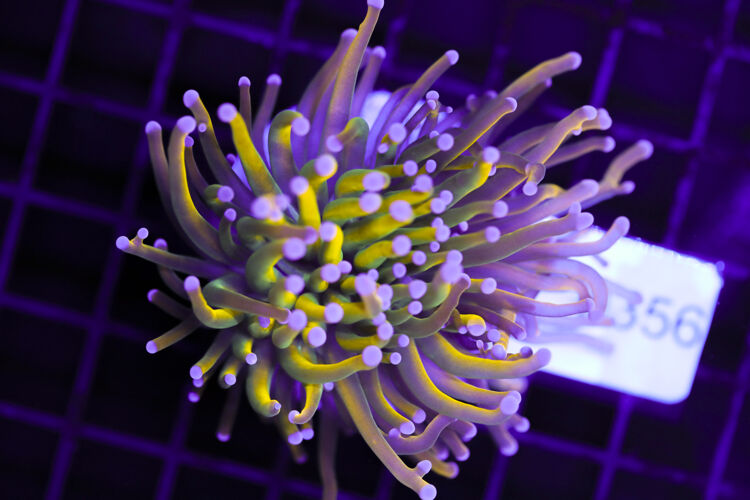 import placeholder for 3064392