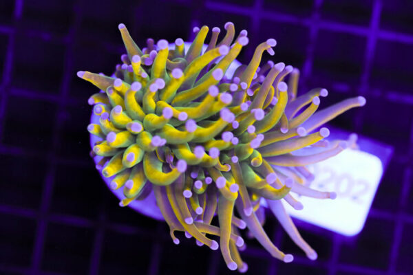 import placeholder for 3064341