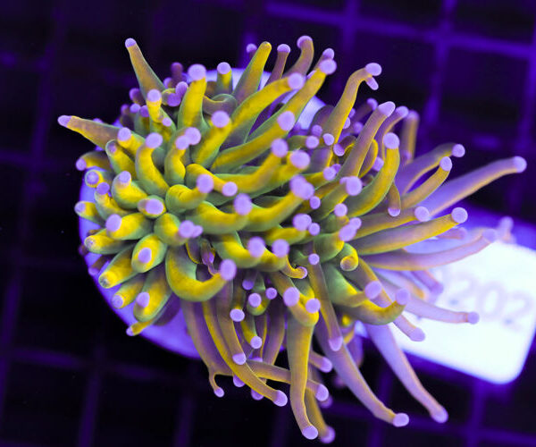 import placeholder for 3064341