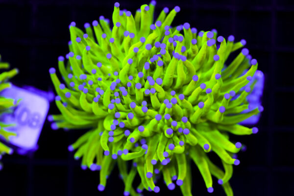 import placeholder for 3064320