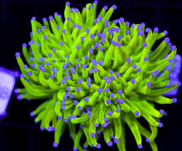 import placeholder for 3064320