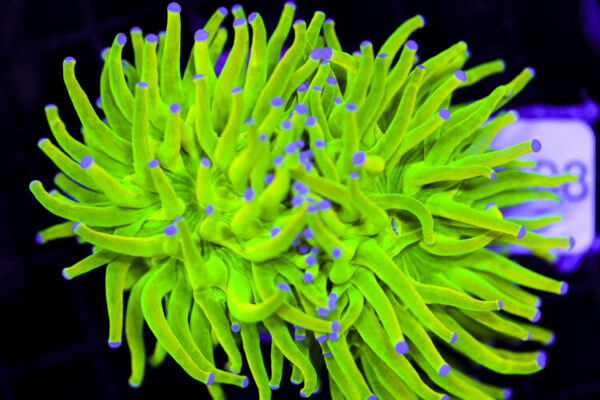 import placeholder for 3064317