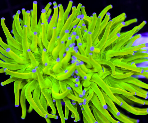 import placeholder for 3064317