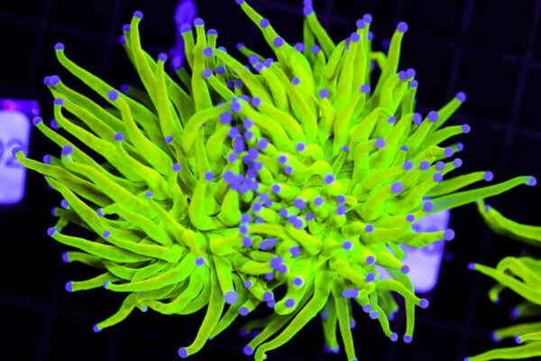 import placeholder for 3064315