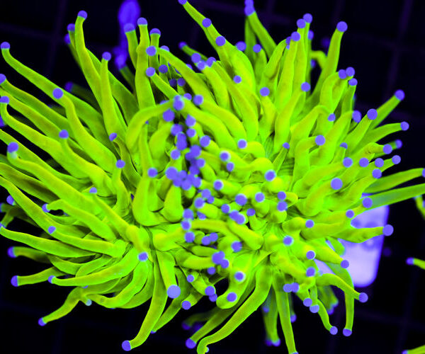 import placeholder for 3064315