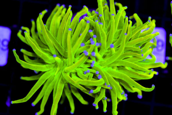 import placeholder for 3064314