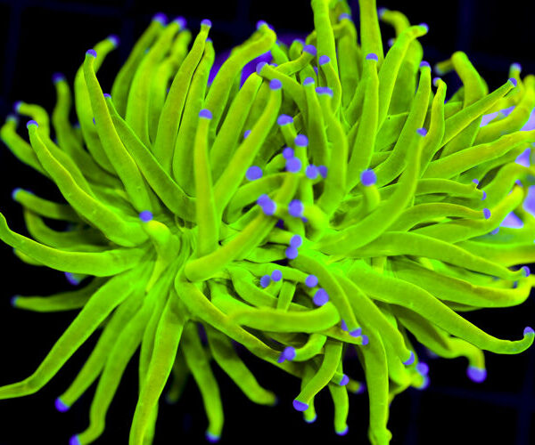 import placeholder for 3064314