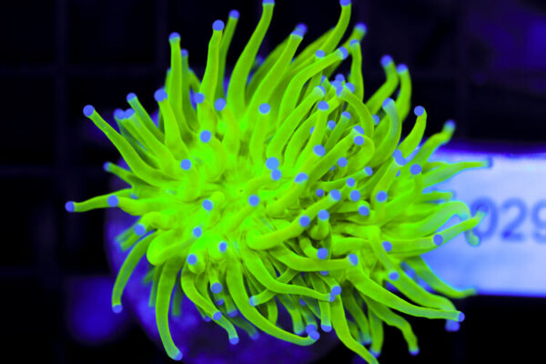 import placeholder for 3064313