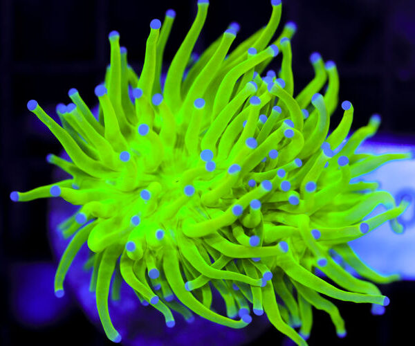 import placeholder for 3064313