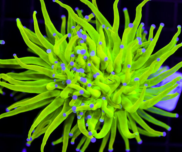 import placeholder for 3064311