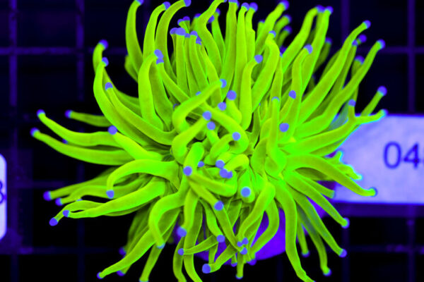 import placeholder for 3064309