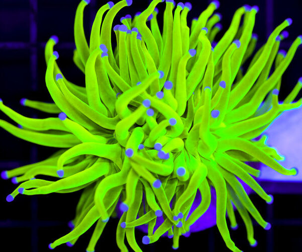 import placeholder for 3064309