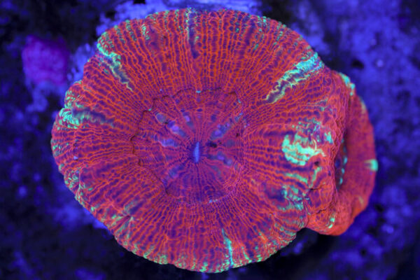 import placeholder for 3063710