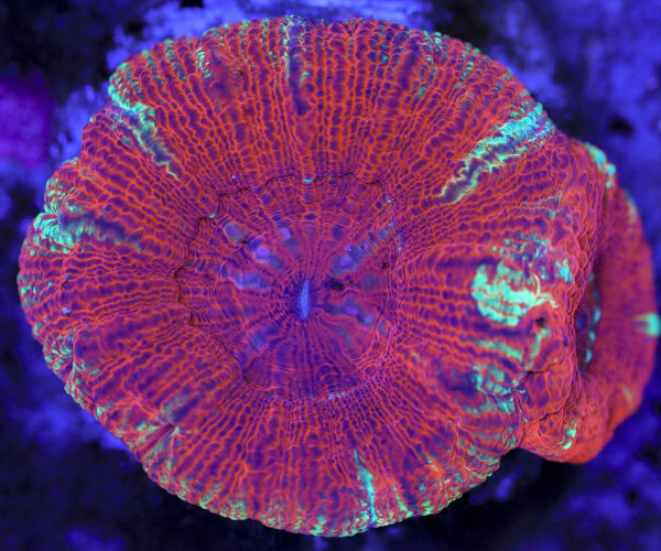 import placeholder for 3063710