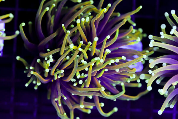 import placeholder for 3063708