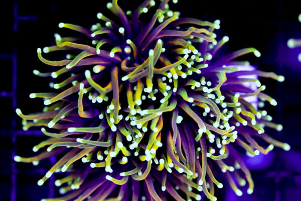 import placeholder for 3063706