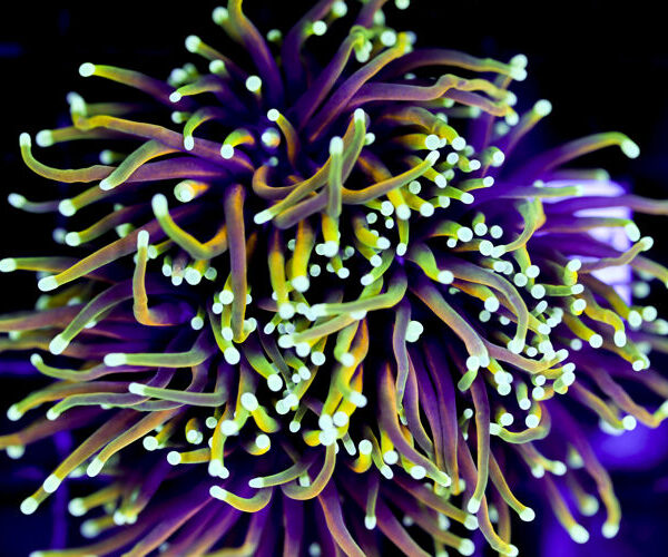 import placeholder for 3063706