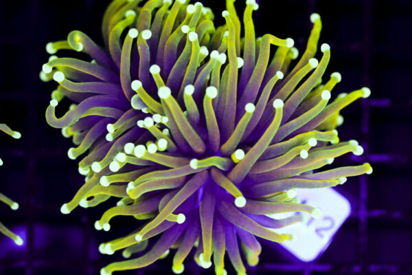 import placeholder for 3063705