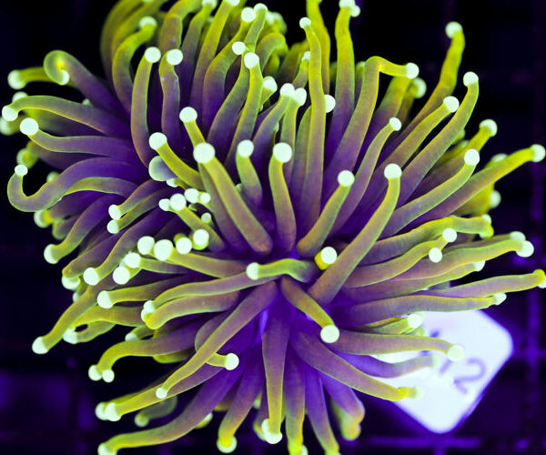 import placeholder for 3063705