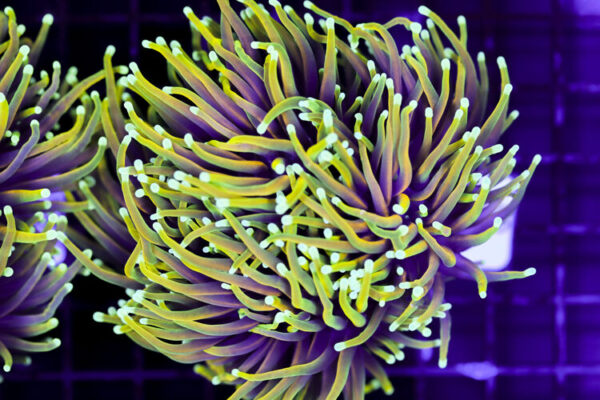 import placeholder for 3063703