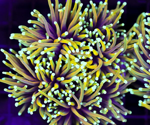 import placeholder for 3063702