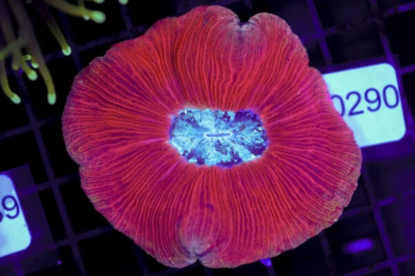 import placeholder for 3063699