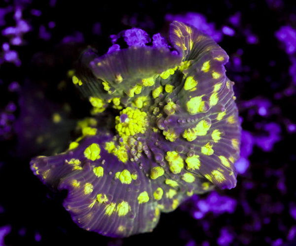 import placeholder for 3063689