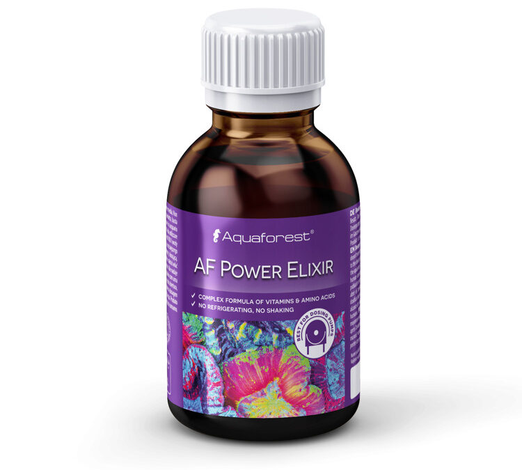 import placeholder for 2691098