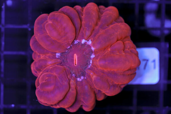 import placeholder for 3063676