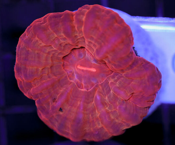 import placeholder for 3063674