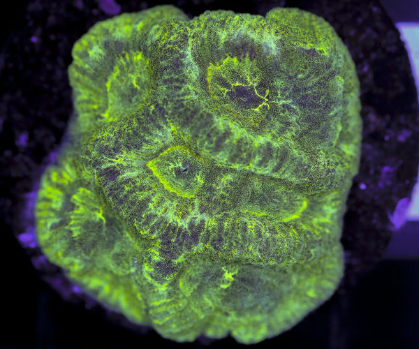 import placeholder for 3063658