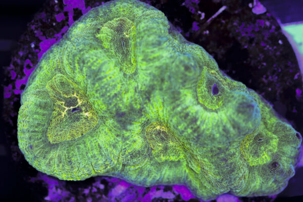 import placeholder for 3063657