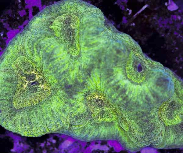 import placeholder for 3063657