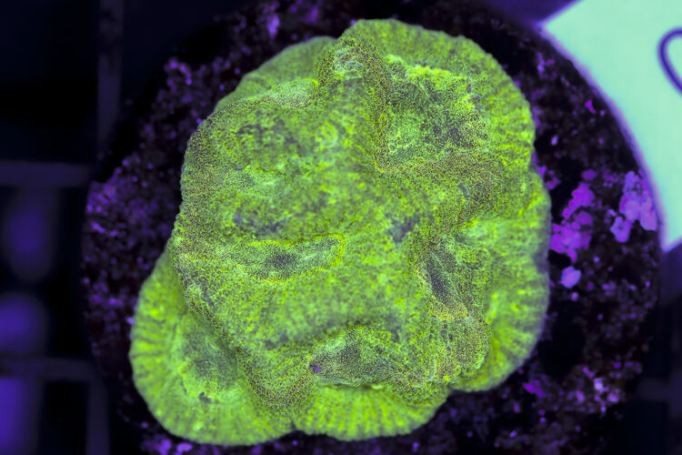 import placeholder for 3063656