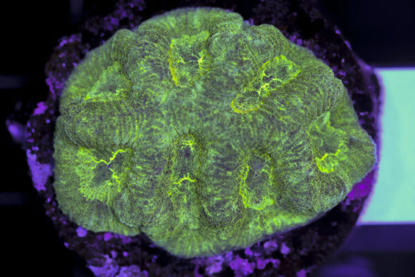 import placeholder for 3063654