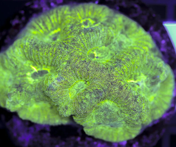 import placeholder for 3063653