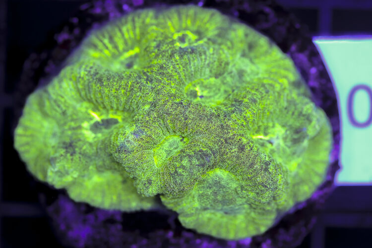 import placeholder for 3063653