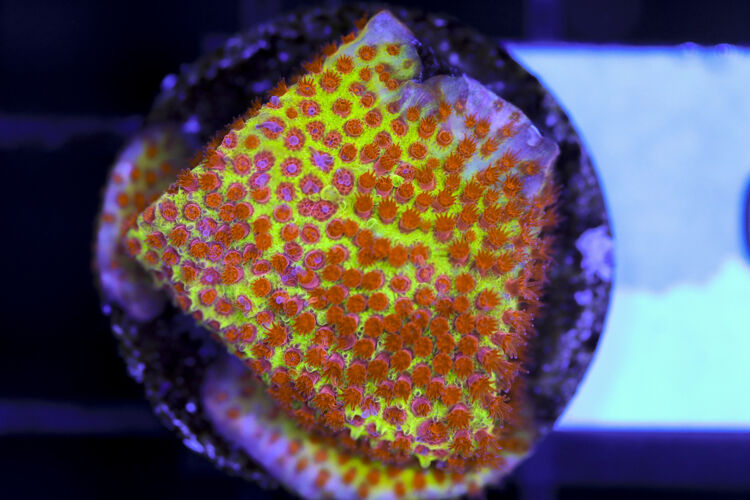 import placeholder for 3063645