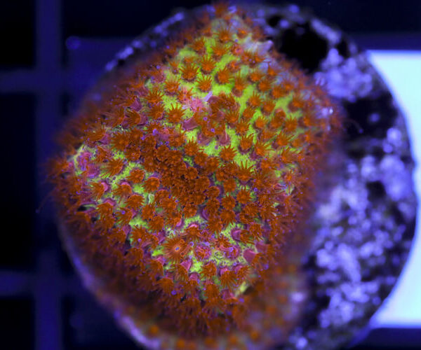 import placeholder for 3063644