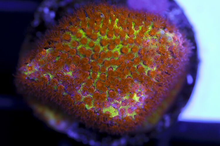 import placeholder for 3063643