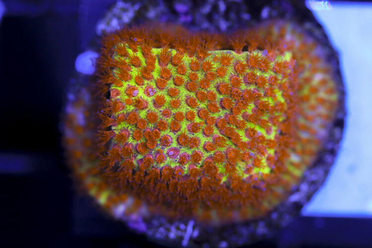 import placeholder for 3063642