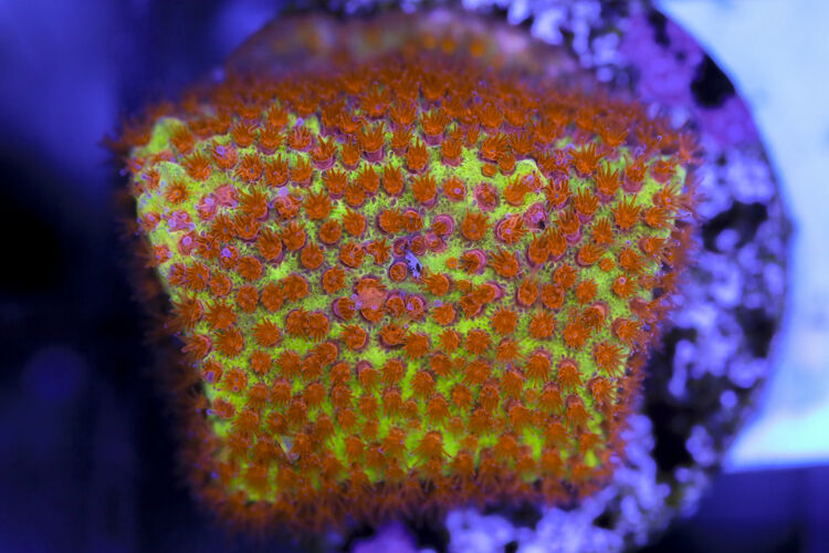 import placeholder for 3063641